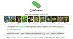 Desktop Screenshot of chilebosque.cl