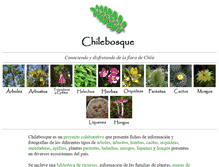 Tablet Screenshot of chilebosque.cl